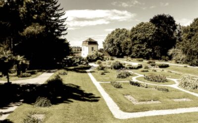 Botanischer Garten – Universität Wien – 05. April – 10 Uhr